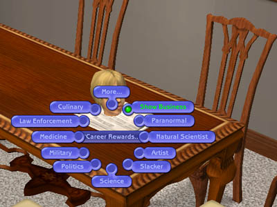 The Sims 2 at SimsHost.com, The Testing Cheats